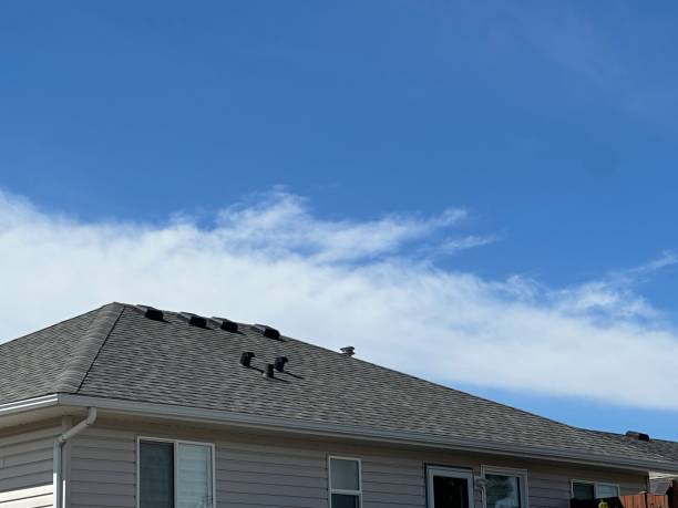 Best Commercial Roofing Services  in Dodge Center, MN